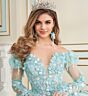 Princesa by Ariana Vara PR30174 Gauntlet Sleeve Applique Quince Dress