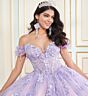 Princesa by Ariana Vara PR30174 Gauntlet Sleeve Applique Quince Dress