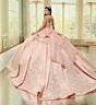 Princesa by Ariana Vara PR30201 Sheer Side Long Sleeve Quince Gown