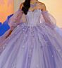 Princesa by Ariana Vara PR30202 Sweetheart Neck Quinceanera Dress