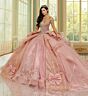 PAVSS-F25-PR30203-01.jpg