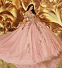 Princesa by Ariana Vara PR30207 Back Bow Sweetheart Neck Sweet 16 Gown