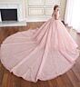Princesa by Ariana Vara PR70103 Back Bow Short Sleeve Sweet 16 Gown