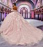Princesa by Ariana Vara PR30227 Illusion Top Applique Quinceanera Gown