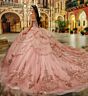 Princesa by Ariana Vara PR30230 Back Bow Illusion Top Sweet 16 Dress