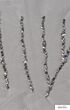 Bridal Silver