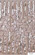 Morganite