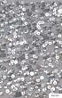 Bridal Silver