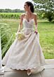 Mori Lee 2748 Speare Bow Back Scallop Hem Lace Bridal Gown