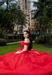 Mori Lee 4080046 Celia Basque Waist Glitter Tulle Quinceanera Dress