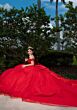 Mori Lee 4080046 Celia Basque Waist Glitter Tulle Quinceanera Dress
