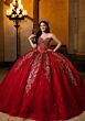 Mori Lee 4080059 Camilla Sheer Side Gauntlet Sleeve Tulle Vestido XV