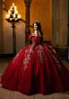 Mori Lee 4080059 Camilla Sheer Side Gauntlet Sleeve Tulle Vestido XV