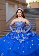 Mori Lee 4080070 Carina Strapless Tulle Gauntlet Sleeve XV AÒos Dress