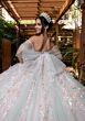 Mori Lee 4080001 Blake Sheer Bodice Floral Applique Quince Dress