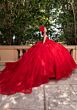 Mori Lee 4080012 Berlyn Illusion Neck Floral Applique Quinceanera Gown