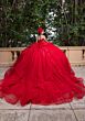 Mori Lee 4080012 Berlyn Illusion Neck Floral Applique Quinceanera Gown