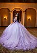 Mori Lee 4080032 Beverly Back Bow Applique Bodice Sweet 16 Gown