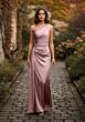 Desert Rose