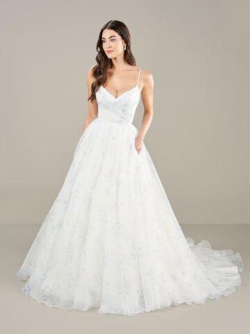Ivory/Blue
