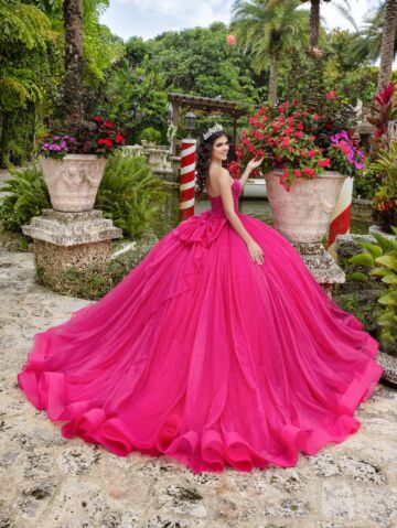 House of Wu 26102 Sweetheart Neck Gauntlet Sleeve Quinceanera Gown