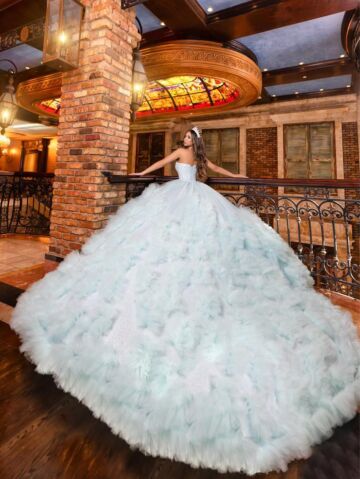 House of Wu LizLou Maravilla 80022 Ruffle Sleeve Quince Dress