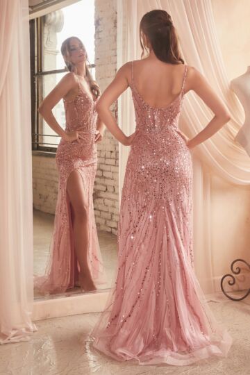 LaDivine CD0220 Scoop Back Sheer Bodice Dress