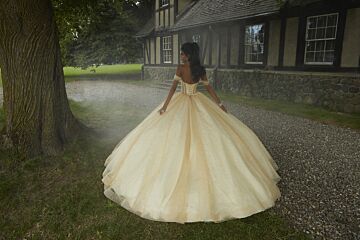 Mori Lee 60194 Peek-A-Boo Sweetheart Neck Quince Gown