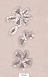 Morganite