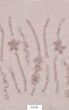 Morganite