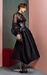 MNM Couture 2520 Wing Collar Sheer Sleeve Dress
