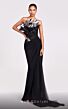 MNM Couture G1800 Ruffle Neck Sheer Overskirt Dress
