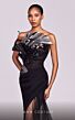 MNM Couture G1800 Ruffle Neck Sheer Overskirt Dress