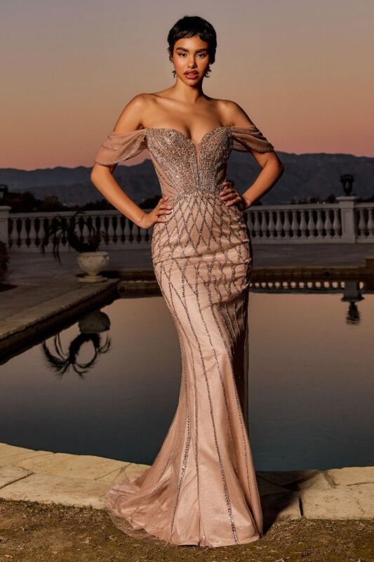 Ladivine CC477 Off-The-Shoulder Plunging Neck Beaded Dress
