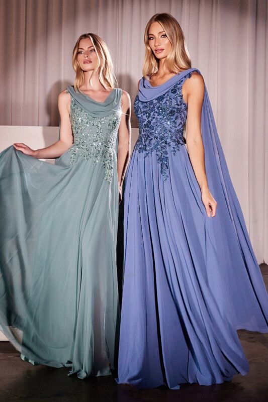 Ladivine CDS509 Scoop Neck Shoulder Streamer A-Line Dress