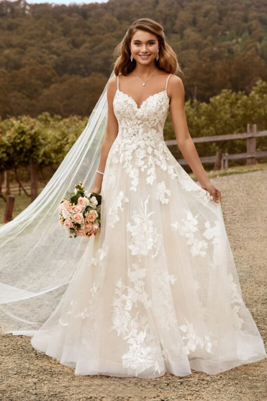 Ivory/Champagne
